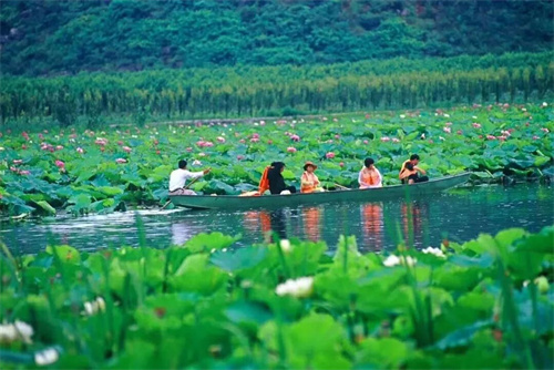 2022普者黑夏令營：山水田園，萬畝荷花游學(xué)，探訪彝族古村，感知民族文化！